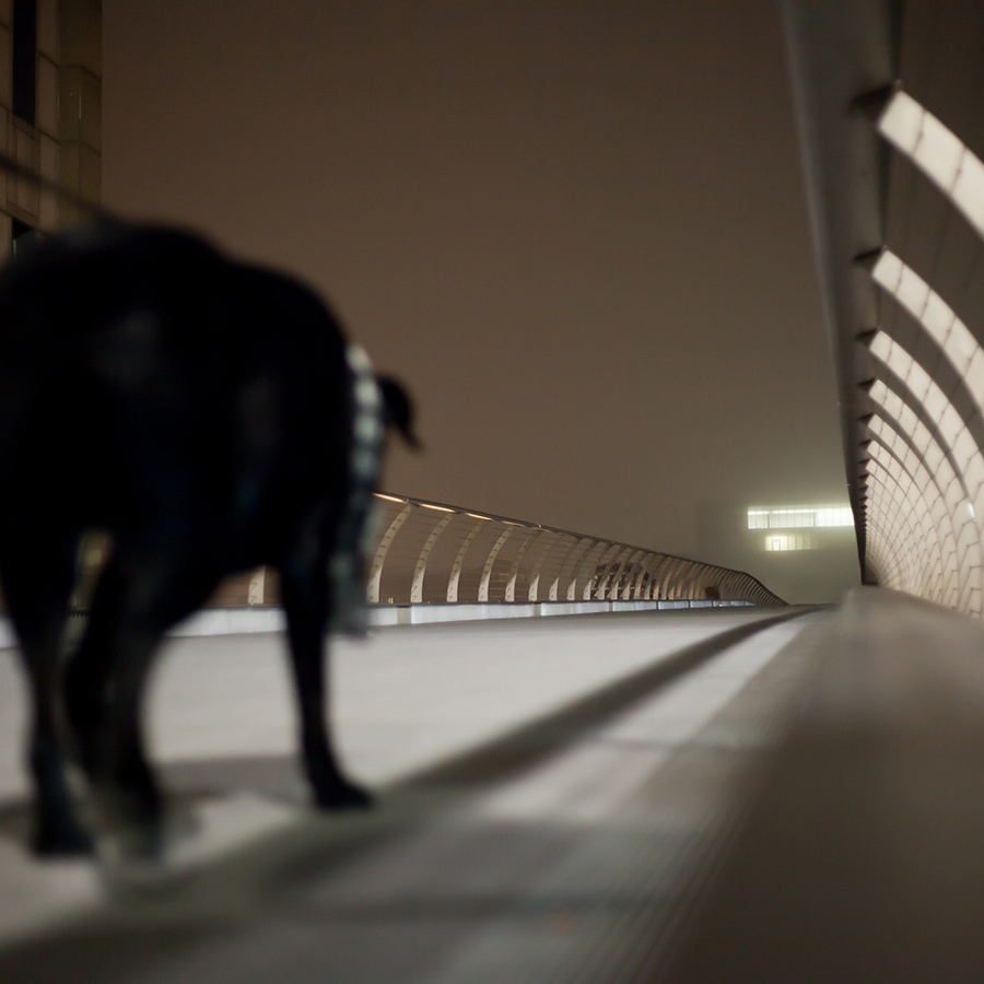 A black lab dog is walking across an empty bridge in London at night.