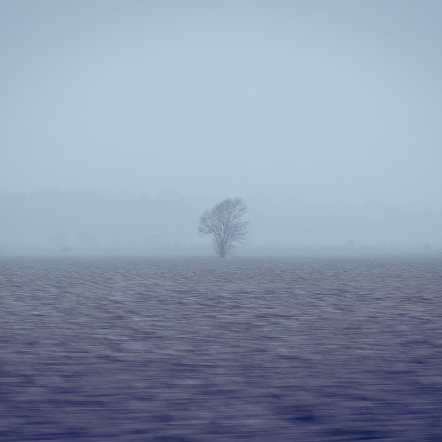 A out of focus photo of tree in the distance of a misty field near to Rye, England.