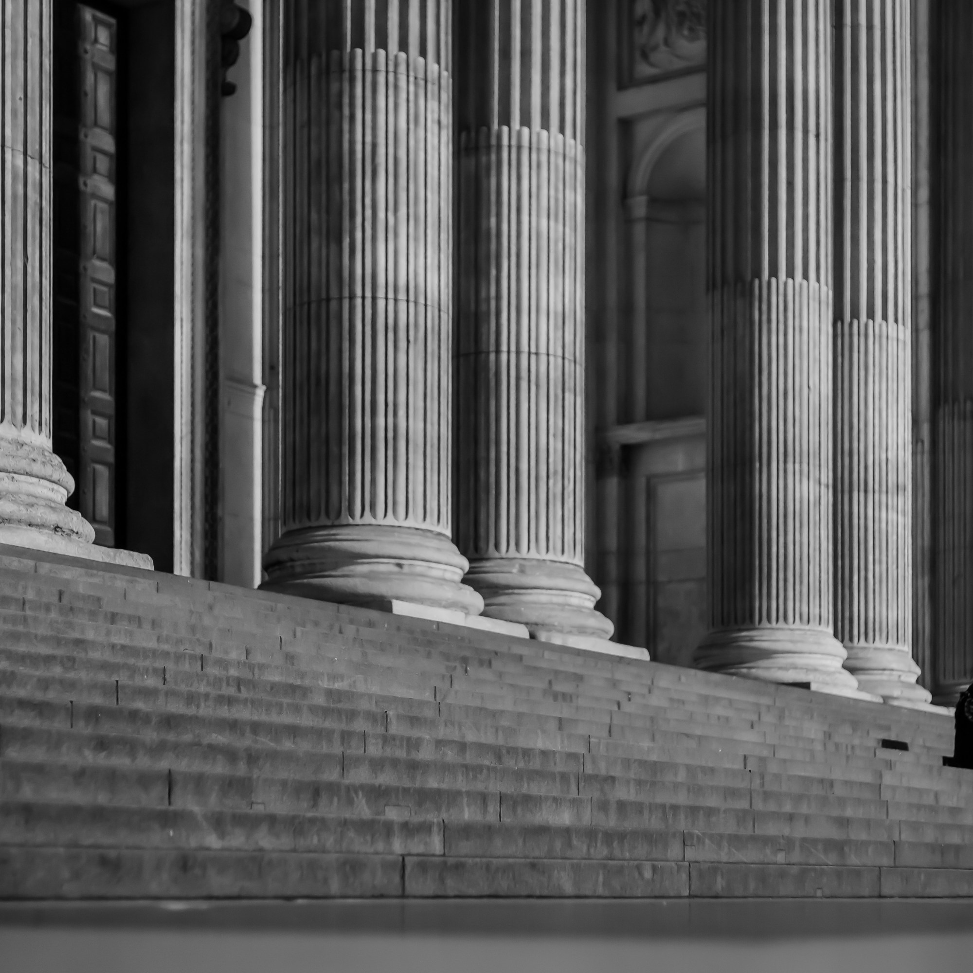 Dog stood on steps of St Pauls. London, England.