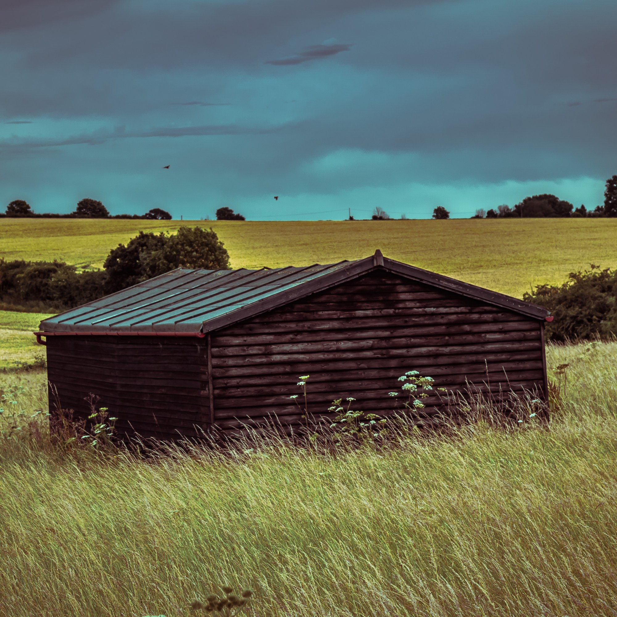 Shed in field Hertfordshire, England